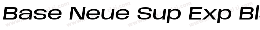 Base Neue Sup Exp Black字体转换